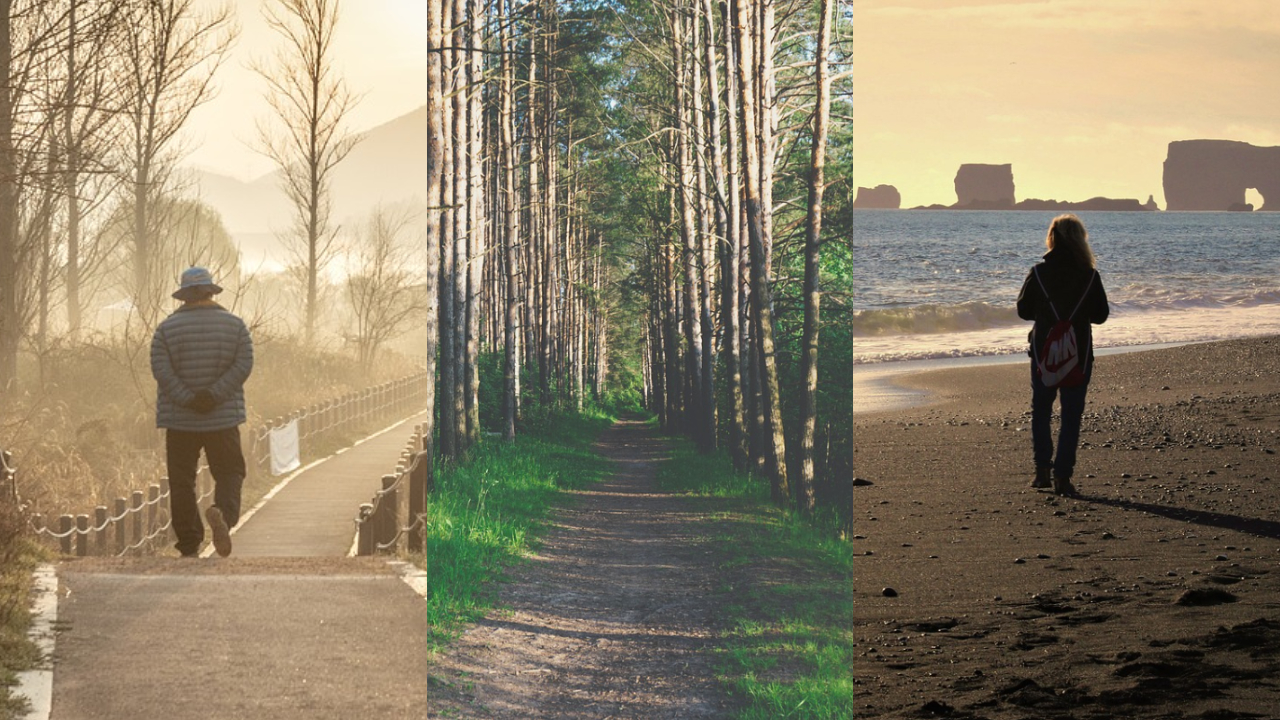 జ్ఞాపకశక్తి తగ్గుతోందా.. ప్రతి రోజు 15 నిమిషాలు ఇలా చేస్తే చాలు..